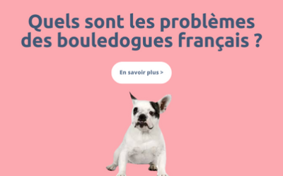 Quels sont les problèmes des bouledogues français ?