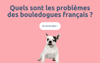 Calendrier De L’Avent Bouledogues Français 2025 – 24 Jours, 26 X 18 Cm, Déco Festive Pour Chiens Lovers, Table, étagère - 8